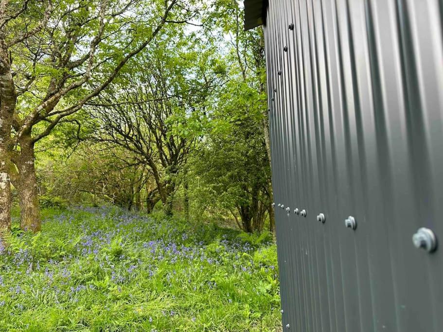 Cornwall Woodland Shepherd'S Hut - Dennis Hut Bodmin Eksteriør bilde