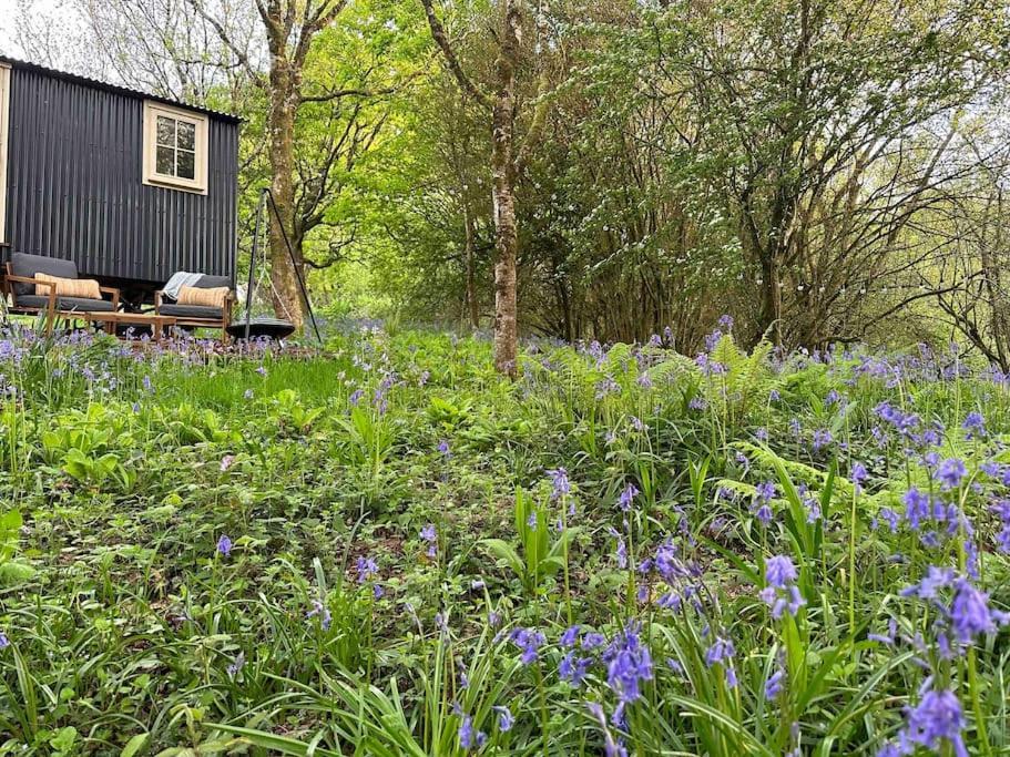 Cornwall Woodland Shepherd'S Hut - Dennis Hut Bodmin Eksteriør bilde