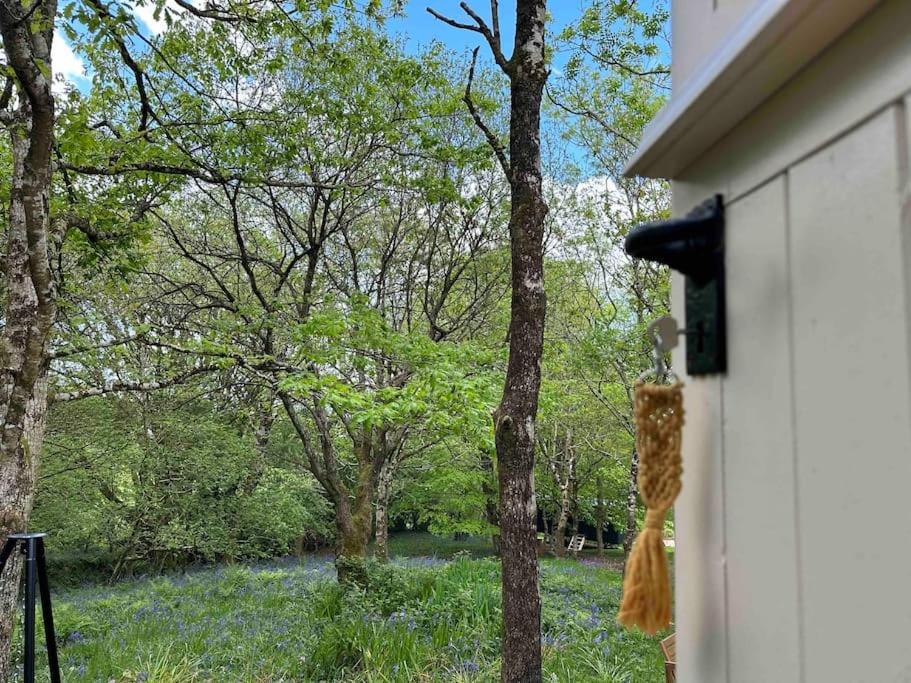 Cornwall Woodland Shepherd'S Hut - Dennis Hut Bodmin Eksteriør bilde