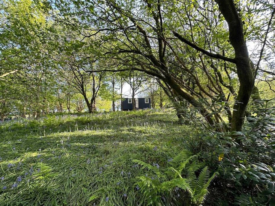 Cornwall Woodland Shepherd'S Hut - Dennis Hut Bodmin Eksteriør bilde